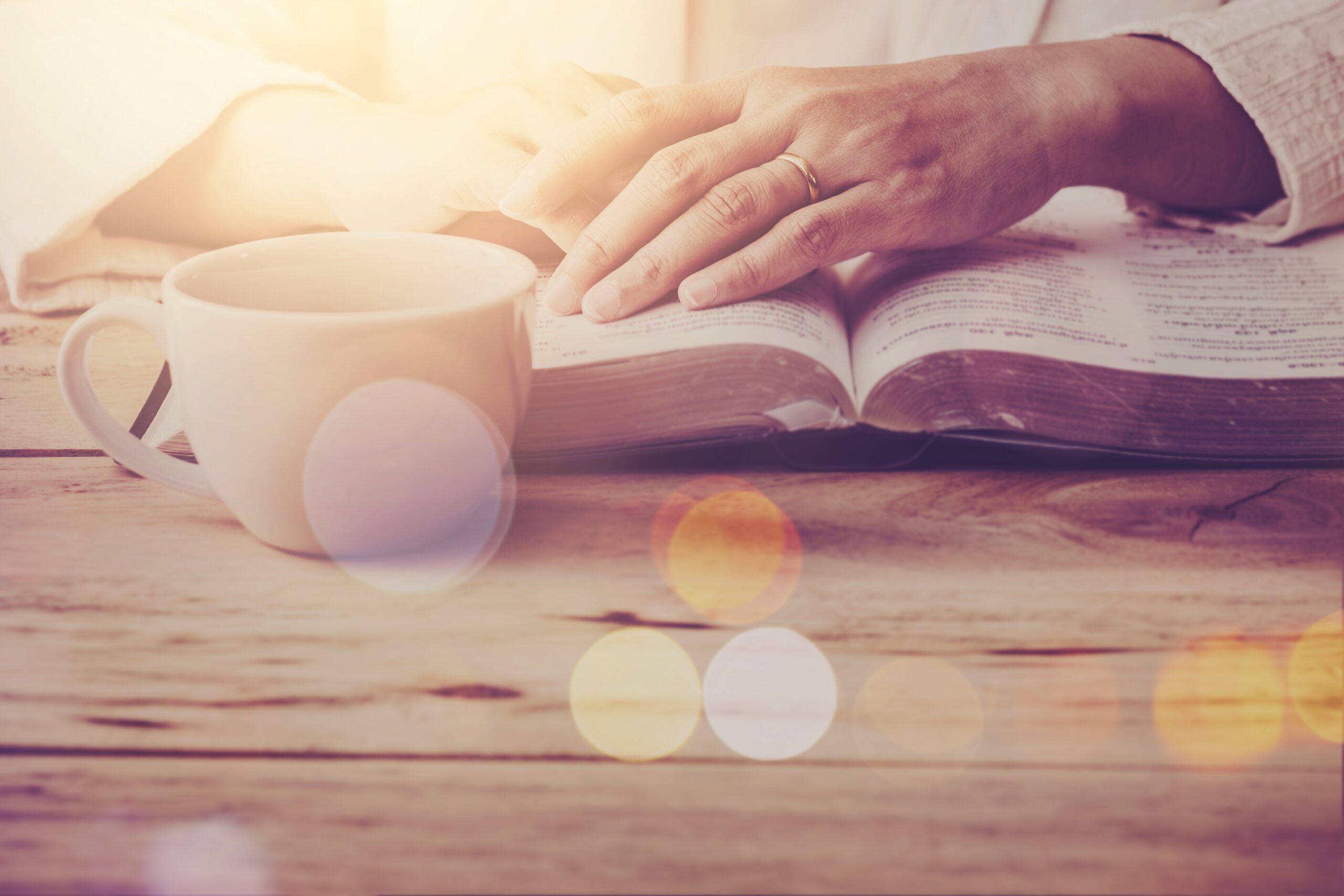 4 Questions to Simplify Your Bible Study Routine